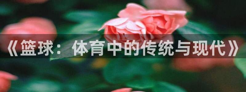 杏悦2体育：《篮球：体育中的传统与现代》